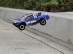 Losi Micro SCTE 1:24 4WD BL RTR niebieskie